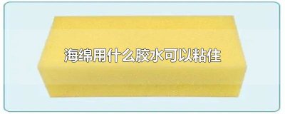 ​海绵用什么胶水能粘住 什么胶水可以粘布和海绵