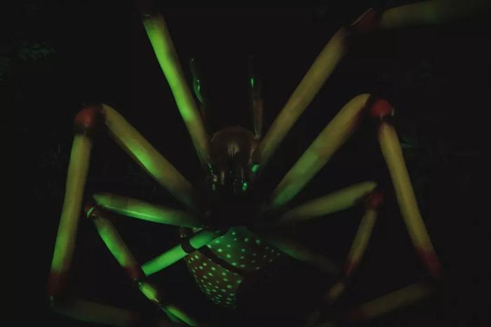 79元畅玩!“第五人格”等8大鬼屋,惊悚登陆650000㎡欢乐谷!