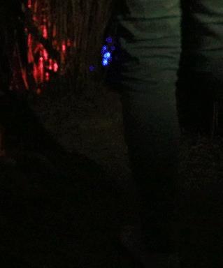 79元畅玩!“第五人格”等8大鬼屋,惊悚登陆650000㎡欢乐谷!