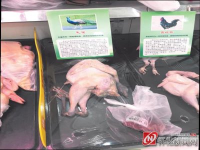 ​孔雀肉成美食？ 怀化市林业部门：经林业部门准许的人工养殖孔雀可食