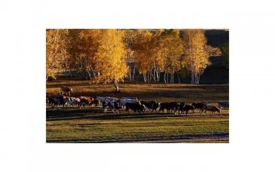 ​老婆出轨可以赔偿多少，老婆出轨，赔偿金额有哪些因素决定？