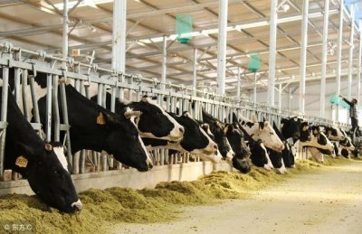 ​中央财政扶持农业养殖类的15个补贴项目介绍