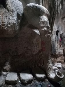 ​江西南昌象湖公园