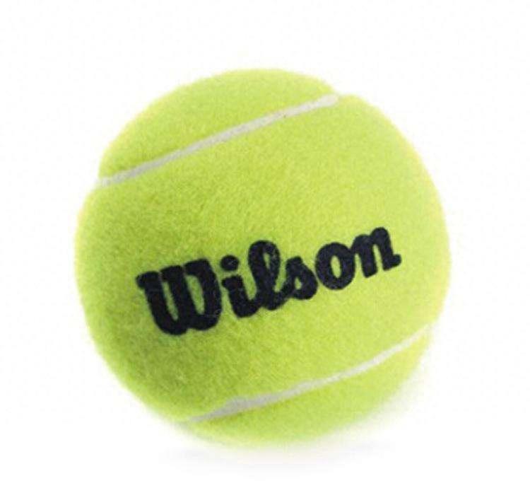 威尔胜（Wilson）（著名运动品牌）