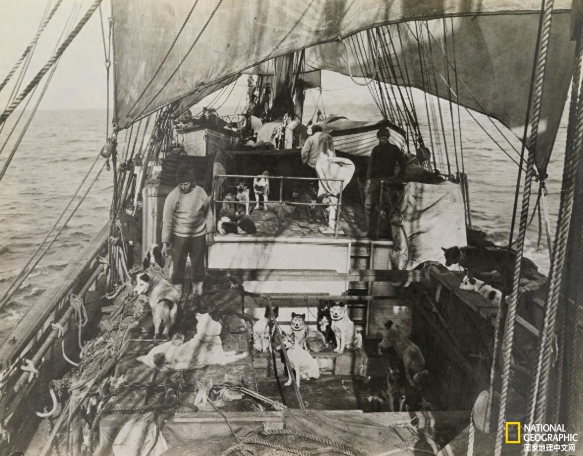 南极洲到底是谁发现的？