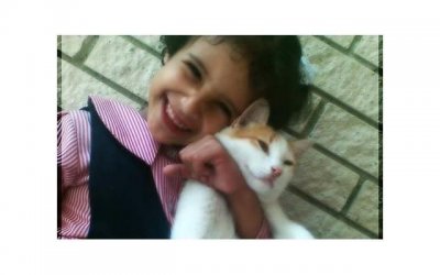 ​失去信任的婚姻还能挽回吗