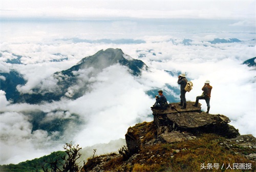 云雾缭绕,红云金顶…… 一组美图带你看贵州梵净山的绝色美!