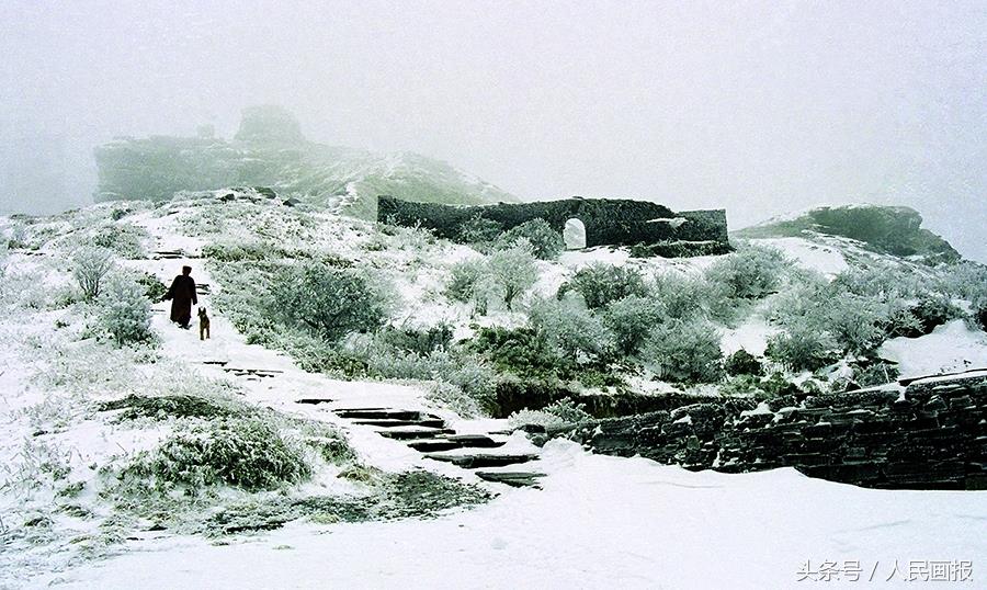 云雾缭绕,红云金顶…… 一组美图带你看贵州梵净山的绝色美!