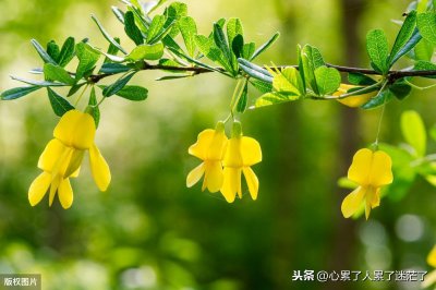 ​人生感悟的句子，可遇不可求