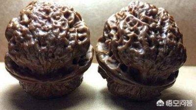 ​文玩核桃之种类