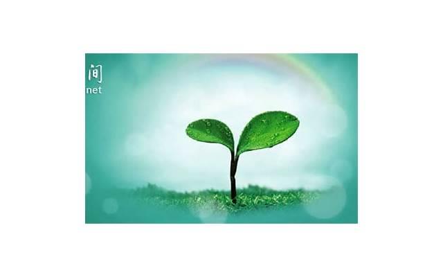 被开三门恶心死了为什么 三门齐开有什么后果 被开三门恶心死了为什么 三门齐开有什么后果