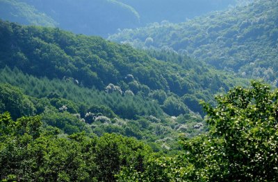 ​辽宁省丹东市的宽甸县