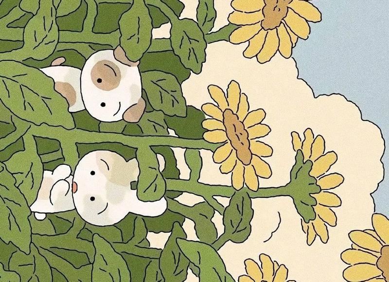 撩妹核心力：我已经做的很好了，为什么女生不喜欢我？