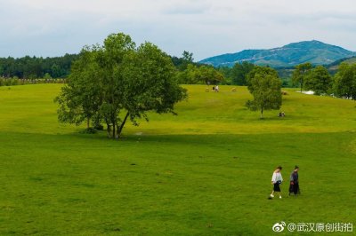​武汉黄陂“木兰草原”值得去吗？今天让我带你去放飞