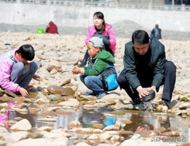 ​捡石头是赏玩奇石的第一步，捡石头真的一点都不简单！