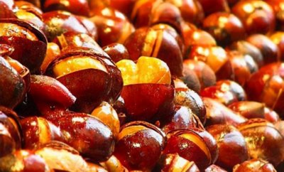 ​天津糖炒栗子，皮脆易剥，香甜可口，是秋冬季时令风味食品