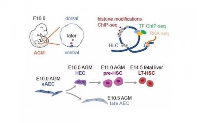 ​如果恋情中出现下面几个信号，请果断分手