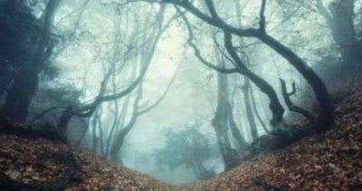 ​古代时南方为何被称为“南蛮之地”？这物质无色无味却是致命