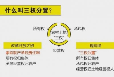 ​承包地三权分置指的是什么？