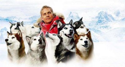 ​真实事件电影《南极大冒险》，雪橇犬残酷求生，洗涤你心灵