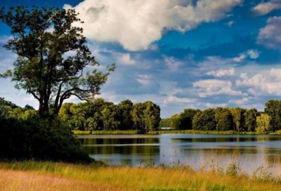 ​非常精辟的句子，往事不回头，余生不将就