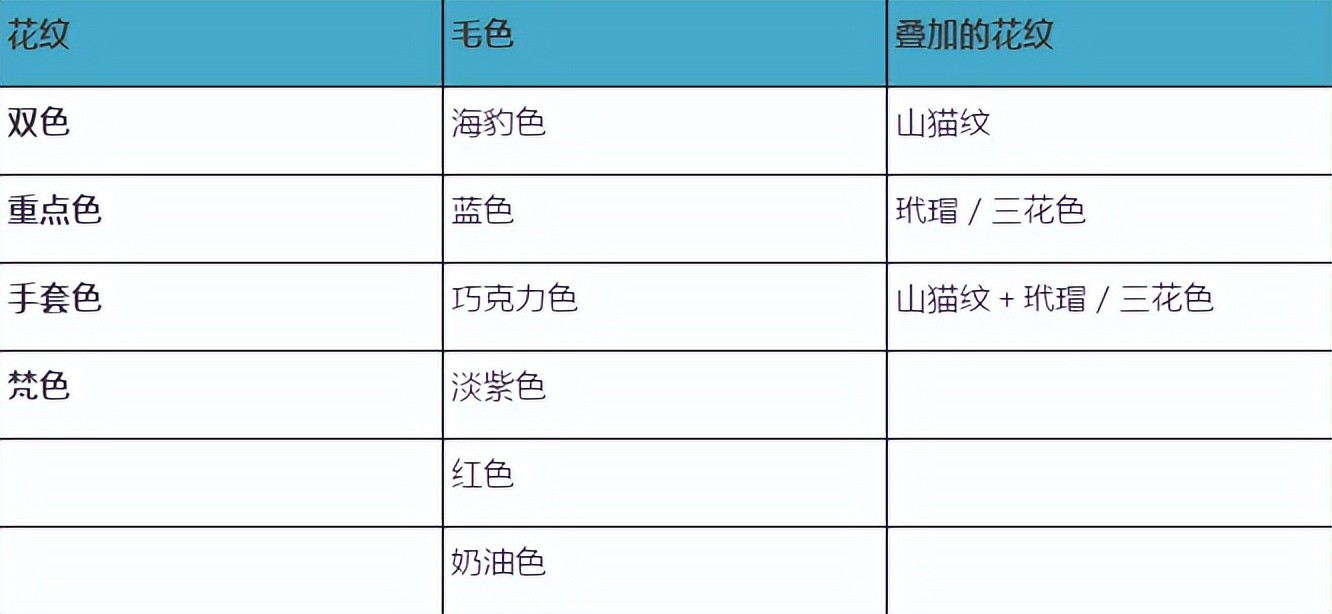 布偶猫种类有哪些，蓝双和海双有什么区别，哪个贵哪个好看？
