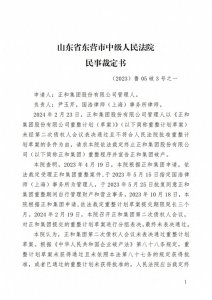 ​宣告正和集团股份有限公司破产