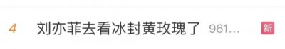 ​刘亦菲深夜发文冲上热搜！网友惊呼：尔滨，你赢麻了