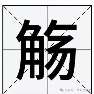 ​“觞觥觚斛”怎么读？这四个字分别又是什么意思呢？来一探究竟！