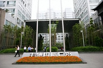 ​四川豪门争夺遗产记：刘庆新留下95套房产，婆媳两人相争20亿遗产