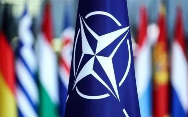 网络图片(侵删)