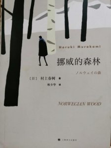 ​挪威的森林主要讲的是什么啊（挪威的森林主要内容简述）