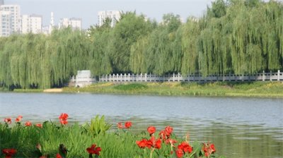 ​2024郑州城管｜四季为轴 让幸福之花开遍“绿城”