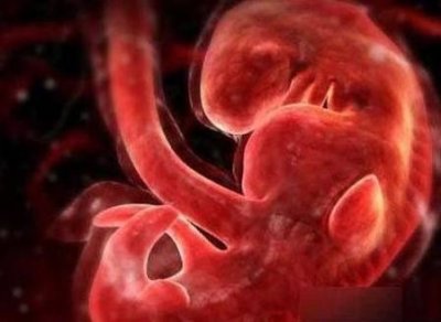 ​孕9周hcg下降会胎停吗