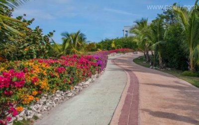 ​走花路是什么意思 表面意思是走有花的路