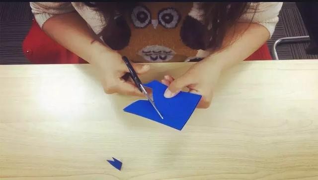 早教小青鸟（吉姆小课堂平衡鸟）(4)