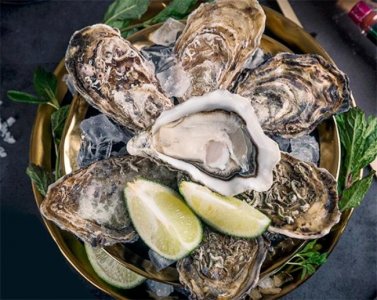 ​谨防因为吃生牡蛎而失去生命