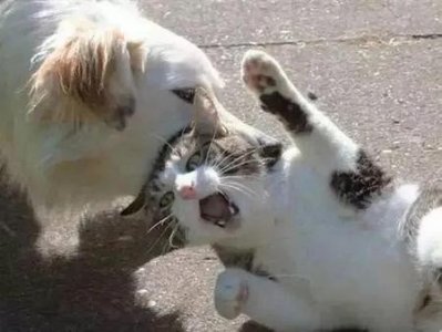 ​农村有哪些毁三观的事情(老家在农村)