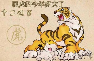 ​属虎的今年多大了，属虎2025年多大