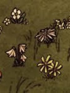 ​饥荒种花(饥荒种花有什么用)