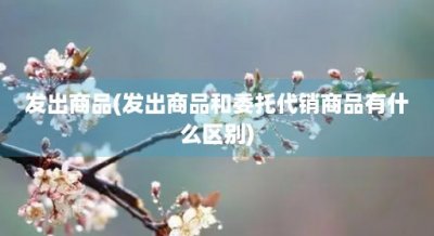 ​发出商品(发出商品和委托代销商品有什么区别)