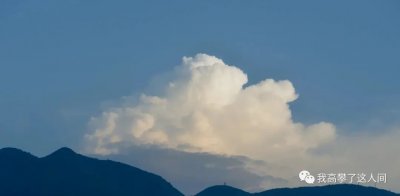 ​乘兴而来,尽兴而归