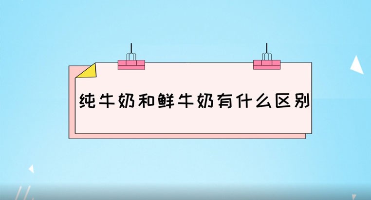 纯牛奶和鲜牛奶的区别是什么 小孩喝哪个好
