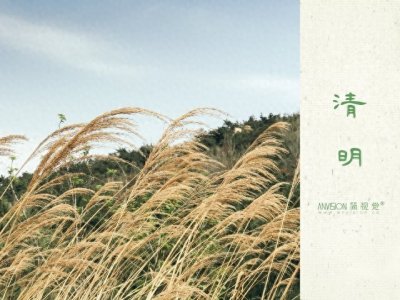 ​“破日不上坟，上坟祸临门”，什么是“破日”？今年清明上坟吗？