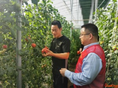 ​番茄的马甲好看吗？番茄的马甲写过什么文？