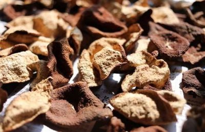 ​陈皮能暴晒吗