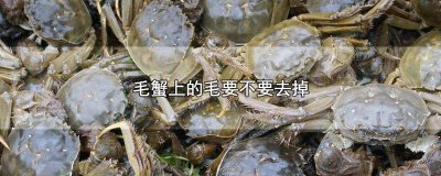 ​毛蟹的毛怎么去掉 毛蟹怎么去除毛