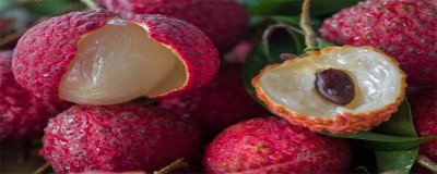 ​荔枝可以用水泡着吗