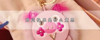 ​限定快乐是什么意思