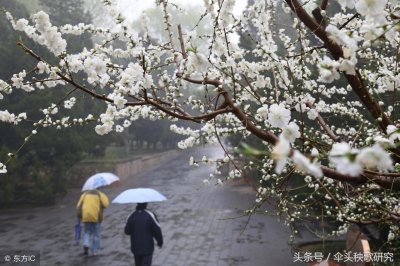 ​伞头秧歌唱词（诗歌）：喜犁田 曹继光作